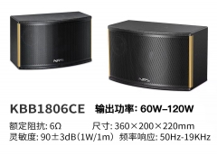 NRS專業(yè)教學(xué)會(huì)議室音箱設(shè)備壁掛式專業(yè)音箱KBB1806CE