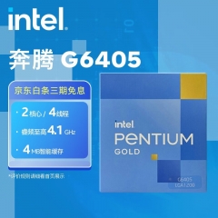 英特爾(Intel)酷睿 奔騰 賽揚(yáng) CPU處理器 臺(tái)式機(jī)10代 G6405 奔騰2核4線程