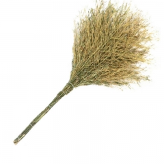 國產(chǎn) 大掃帚