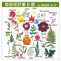 干花diy材料 真花滴膠手工團(tuán)扇賀卡書簽大花包35片/袋