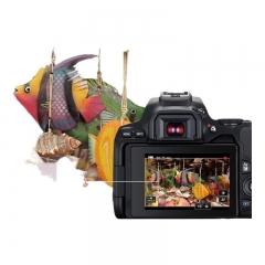佳能佳能（Canon）EOS 200D2 II 二代 迷你單反相機(jī) 4K Vlog視頻直播 (18-55套機(jī)標(biāo)準(zhǔn)變焦鏡頭) 黑色 32G標(biāo)準(zhǔn)禮包（國際版）