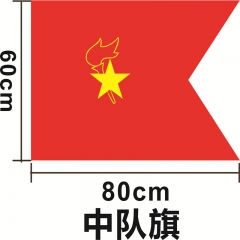 中隊(duì)旗 少先隊(duì)隊(duì)旗 手持中國(guó)少年先鋒隊(duì)旗 旗幟