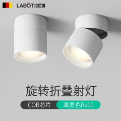 拉伯塔可調(diào)角度led筒燈射燈背景墻明裝可折疊免開(kāi)孔桶燈15W白光 精砂白