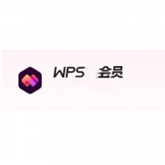 WPS會員 1年