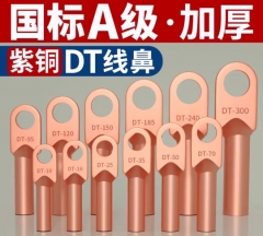 銅鼻子70平方 A級(jí)
